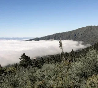 Troodos Mountain landscape